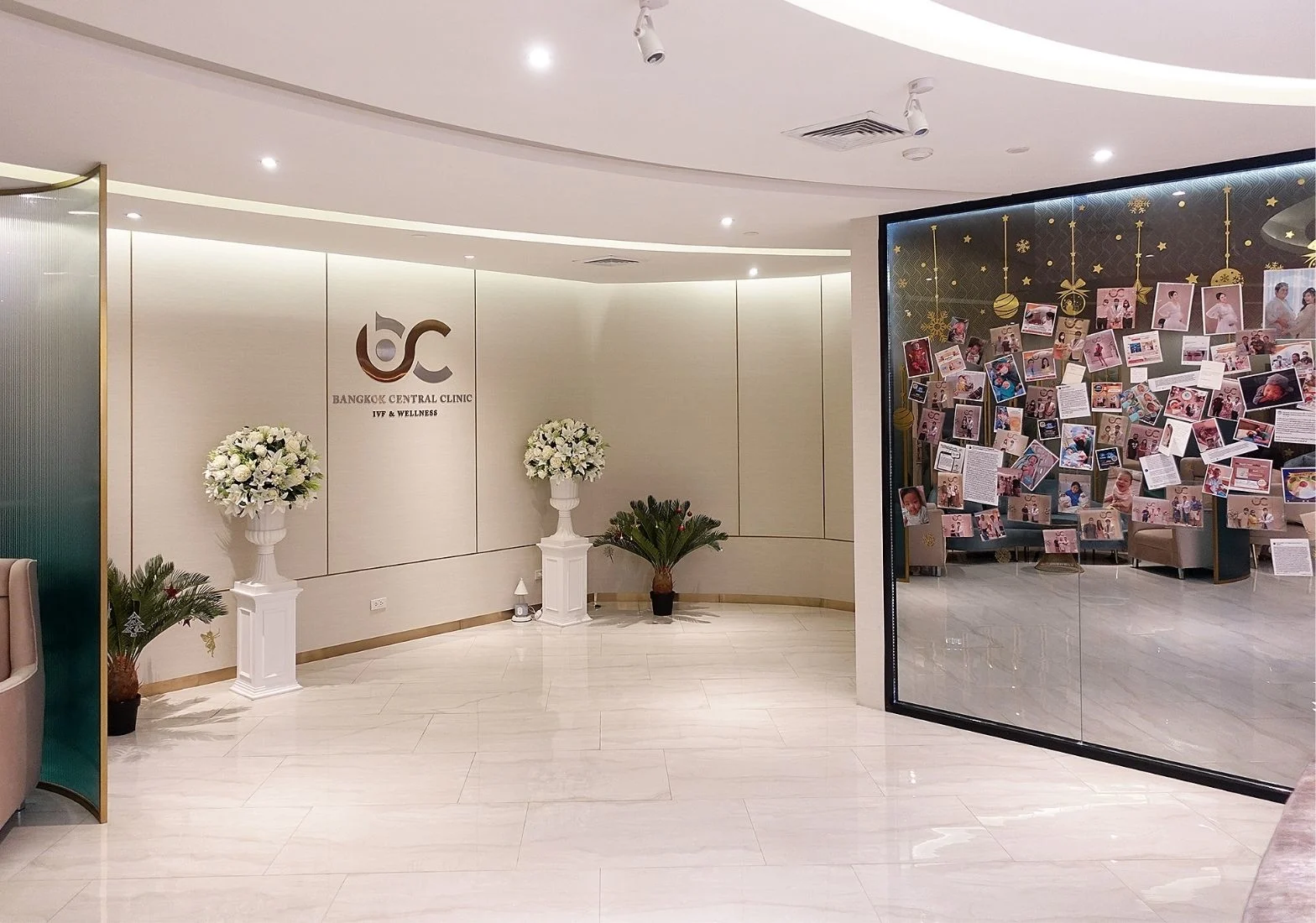 nvvkq1ls0jya7fqdfd8n