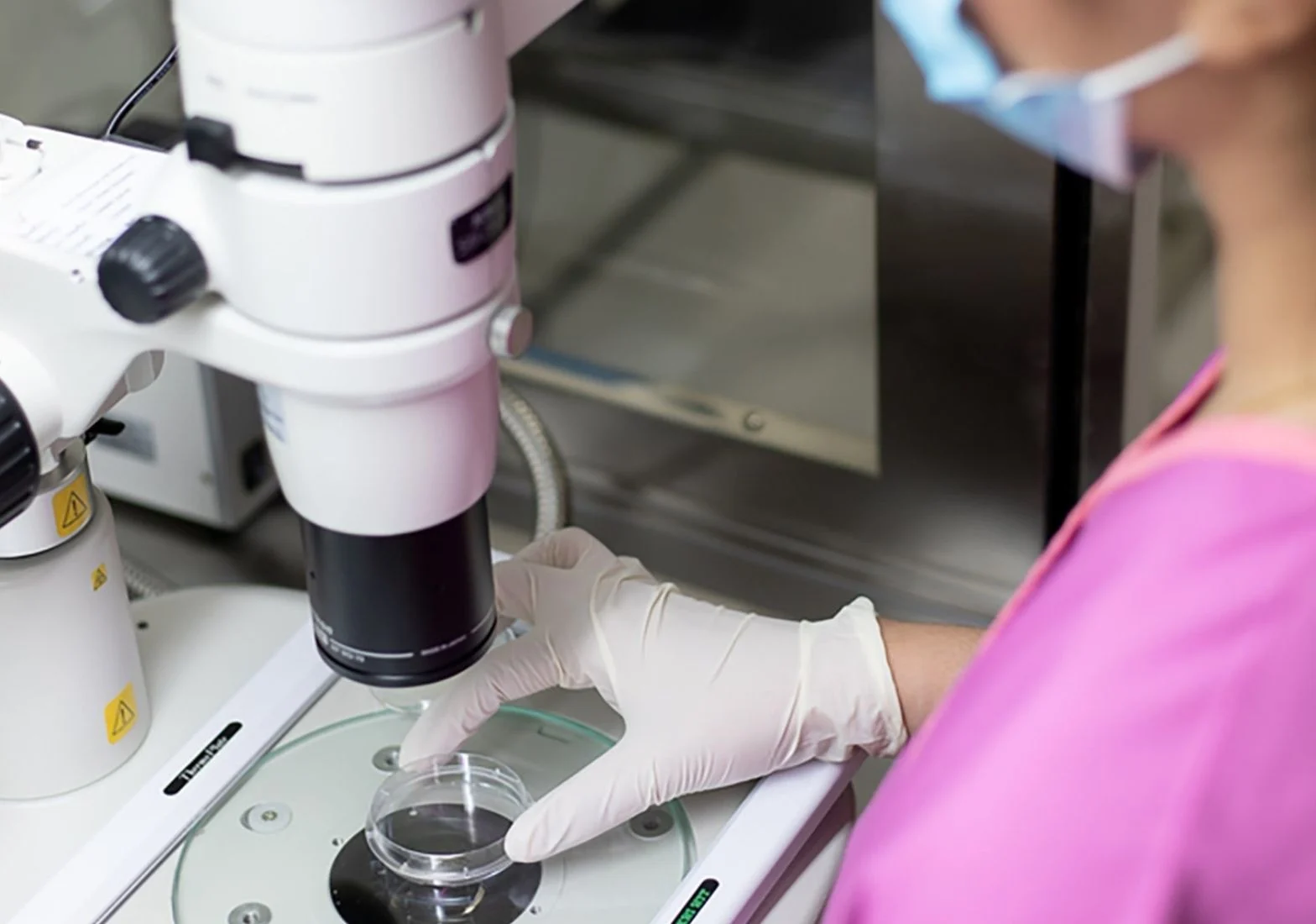 s25zjg2kzkjt1icfdfke